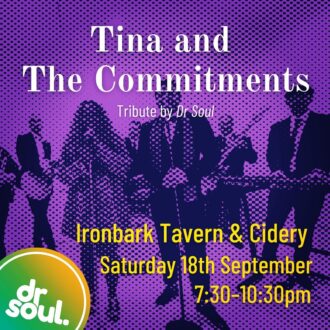 Tina and The Commitments — Tribute by Dr Soul
